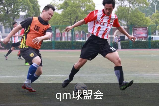 qm球盟会 公司介绍